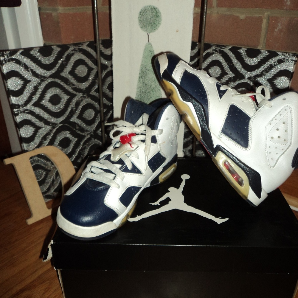 Jordan retro 6
